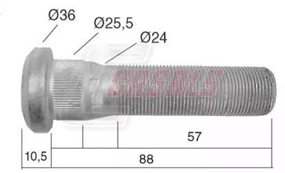 CASALS 21529