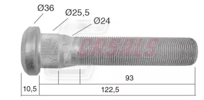 CASALS 21532