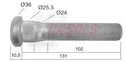 CASALS 21533