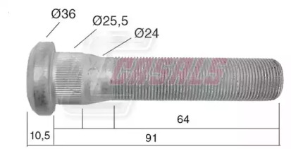 CASALS 21535