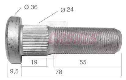 CASALS 21541