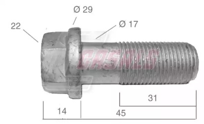 CASALS 21542
