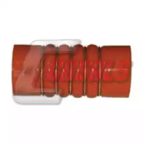 CASALS 33236