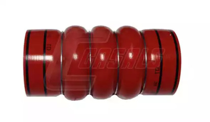 CASALS 33300