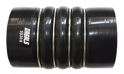 CASALS 33309