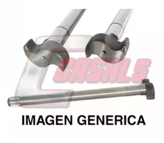 CASALS 3554