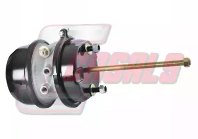 CASALS 4607