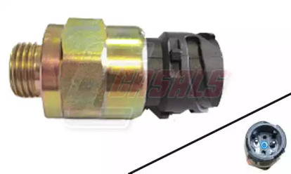 CASALS 65225