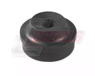 CASALS 80884