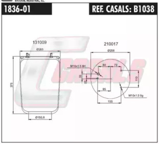 CASALS B1038