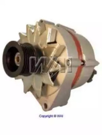wai 13243n