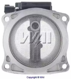 WAI MAF10909T