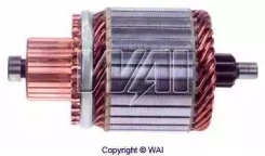 WAI 61-8113