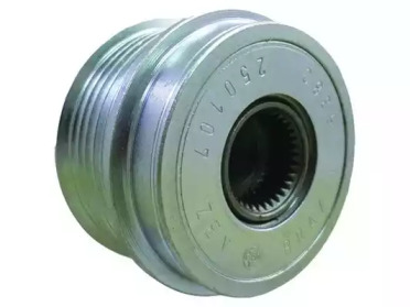wai 24912561
