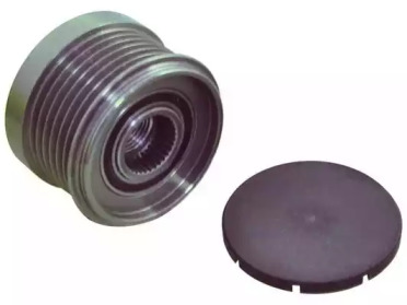 wai 2494254