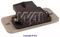 wai icm11