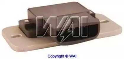 wai icm11