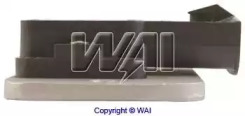 wai icm11