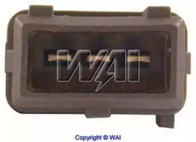 wai icm13