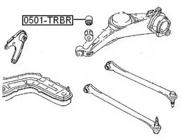 ASVA 0501-TRBR