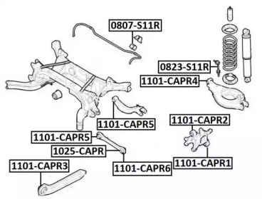 ASVA 1101-CAPR1