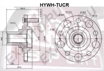 ASVA HYWH-TUCR