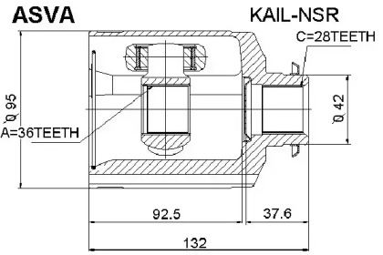 ASVA KAIL-NSR