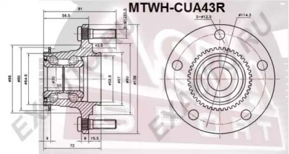 ASVA MTWH-CUA43R