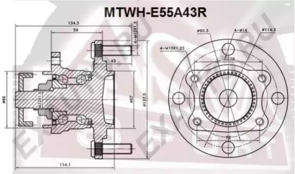 ASVA MTWH-E55A43R