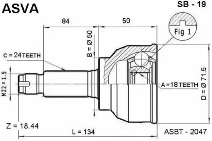 ASVA SB-19