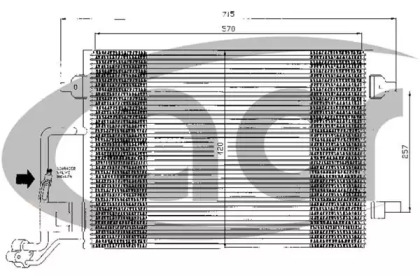 ACR 300388