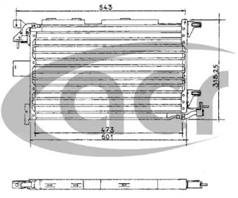 ACR 300446