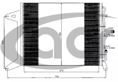 ACR 300498