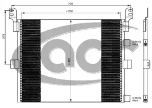 ACR 300676