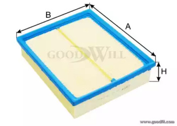 GOODWILL AG 101