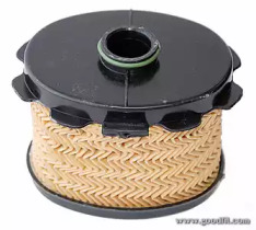 goodwill fg111