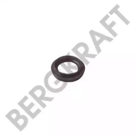 BERGKRAFT BK2900421SP