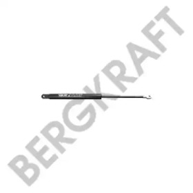 BERGKRAFT BK2937821SP