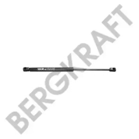 BERGKRAFT BK2938621SP