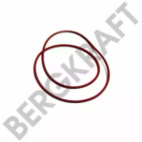 BERGKRAFT BK6120387