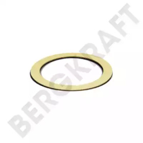 BERGKRAFT BK8009821