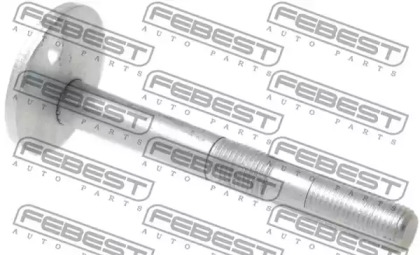 FEBEST 0129-010