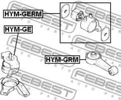 febest hymgerm