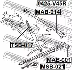 febest mab001