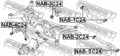 febest nab1c24