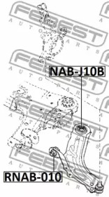 febest rnab010