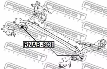 febest rnabscii