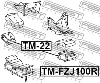 febest tm22