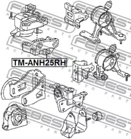 febest tmanh25rh