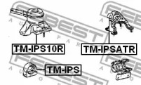febest tmips
